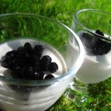 Yoghurtpannacotta med blåbär