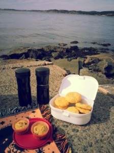 Picknick vid havet